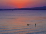 Swmming at the sunset