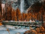 Takakkaw Falls (Yoho National Park)