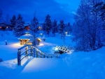 Winter Night