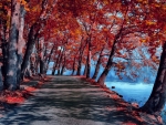 Autumn Road