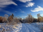 winter road