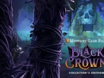 Mystery Case Files - Black Crown06