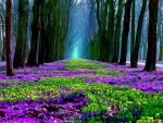 Rows of trees and clumps of flowers 