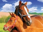 Mare and Foal