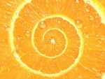 Orange texture