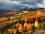 Autumn in Colorado,USA