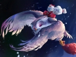 Owl Santa