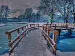 frozen bridge