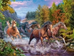 Rushing river horses