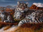 big cats