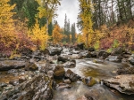 Autumn Stream