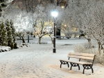 Winter evening in a park