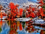 Autumn Forest - Snow on Mountain