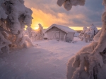 House in the Winter Forest