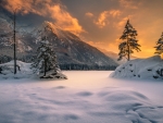 Winter Landscape