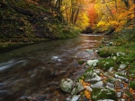 Autumn River