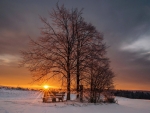 winter sunset