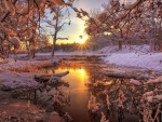 winter sunset