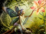 Flower Fairy