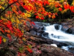 Autumn Waterfall