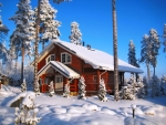 Winter house