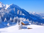Chalet in winter Alps