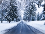 Winter Road
