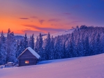 Winter sunset
