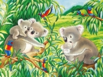 australias little bears