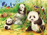 Pandas
