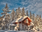 house in winter