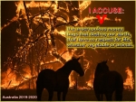 Australia burns