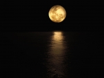 Golden Moon Reflection