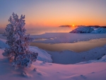 ~ Winter's Sunset