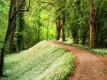 green forest