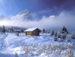 Winter scenery