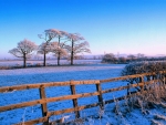winter in the countryside