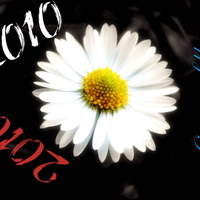 Happy New Year 2010!