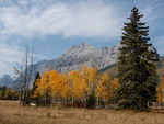 Autumn in Kananaski