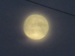 Misty Moon