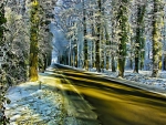 Winter road