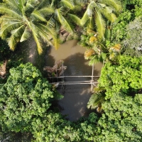 Ba Cong Farm in Can Tho