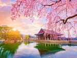 Spring in South Korea