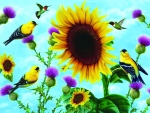Sunflowers and songbirds
