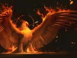 The Phoenix
