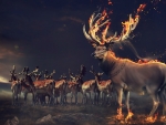 fantasy stags