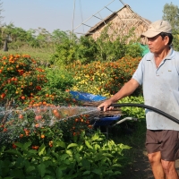 Flower Village Sa Dec Vietnam