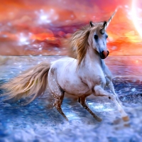 Magic Unicorn