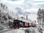 winter train
