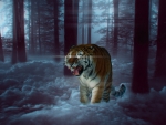 mystic tiger